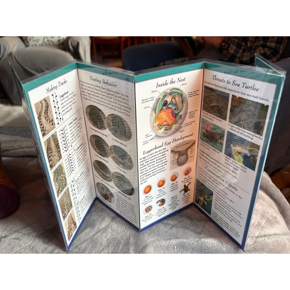 Sea Turtles of the Atlantic & Gulf of Mexico Waterproof‎ Guide Marine Life
